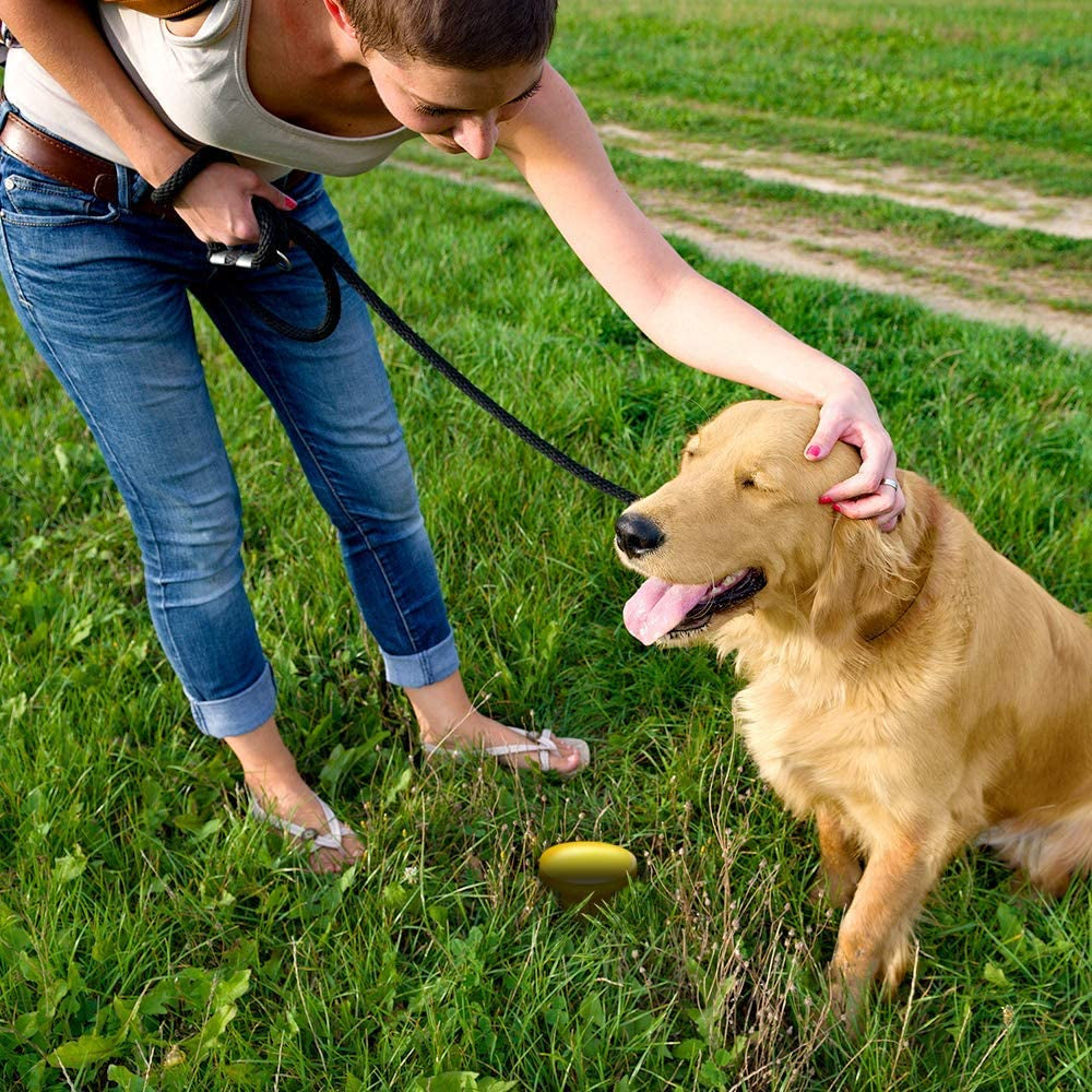 Pee Post Outdoor Potty Training Aid | Pheromone-Infused Yard Stake with GO HERE™ Technology | 13 Inch Stake, Beige,
