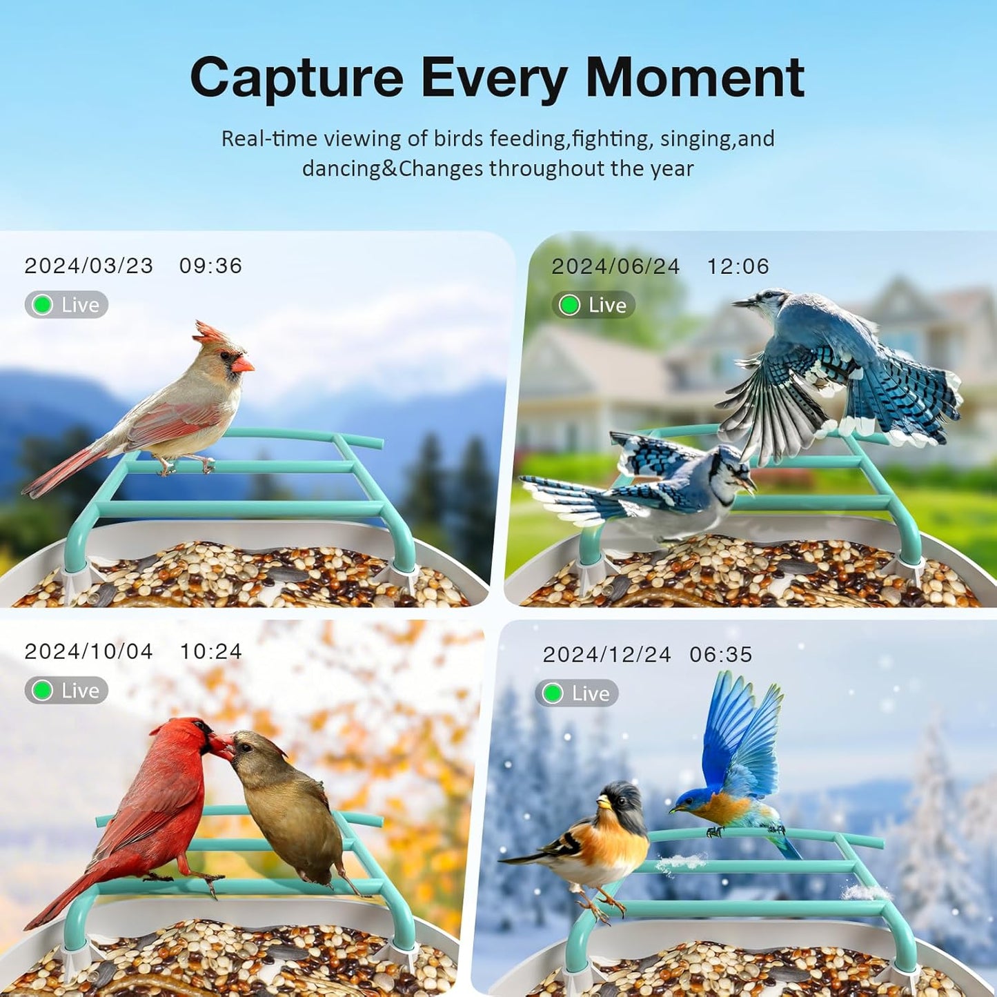 Bird Feeder with Camera, Identify 11000+ Bird Species,Auto Capture Bird Videos & Motion Detection, Wireless Camera Ideal Present for Ird Lover.(Dual Panel)