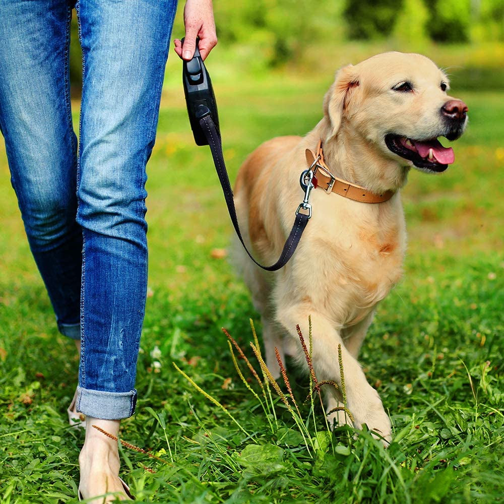 Pee Post Outdoor Potty Training Aid | Pheromone-Infused Yard Stake with GO HERE™ Technology | 13 Inch Stake, Beige,