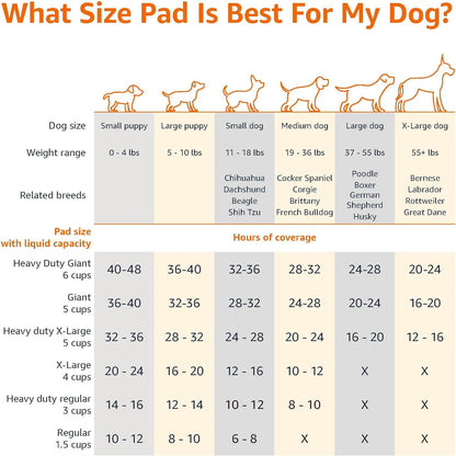Absorbent Puppy Pads for Potty Training and Incontinence, 5-Layer Leak-Proof Design, Quick-Dry Surface, Regular Size, 22 X 22 Inch, Scented, Pack of 100, Blue & White