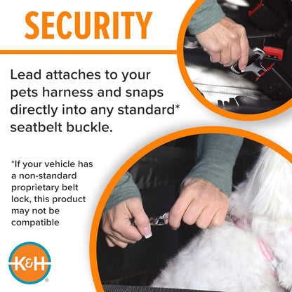 Pet Products Buckle N Go Dog Car Seat for Large Dogs, Waterproof Fabric, Breathable Mesh Sides, Adjustable Seat Belt Leash, Carseat for Medium to Large Pets, Car Seat Cover - 21 X 19 X 19In